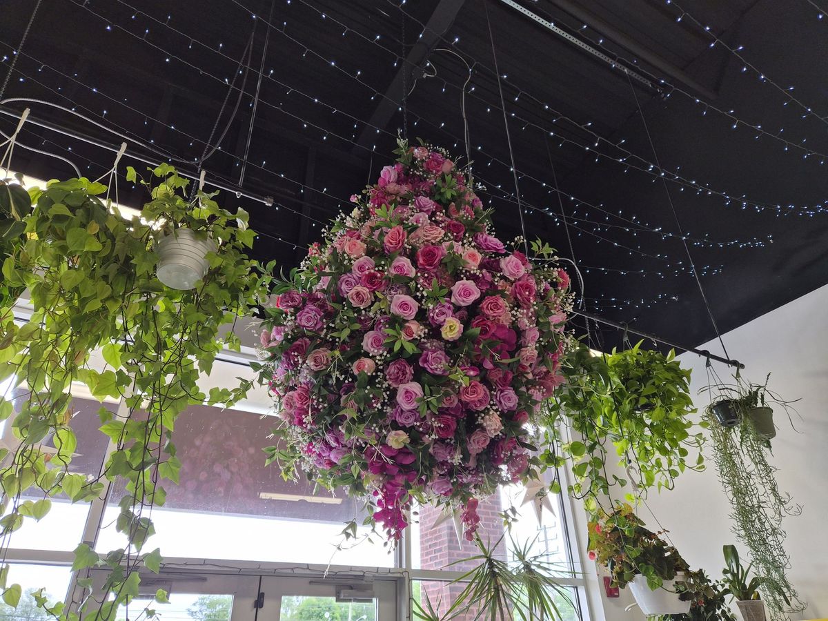 Samsung Galaxy Z Flip 7 camera sample.