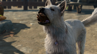 Scratch, the goodest boy dog from Baldur's Gate 3, holding a gift for me.
