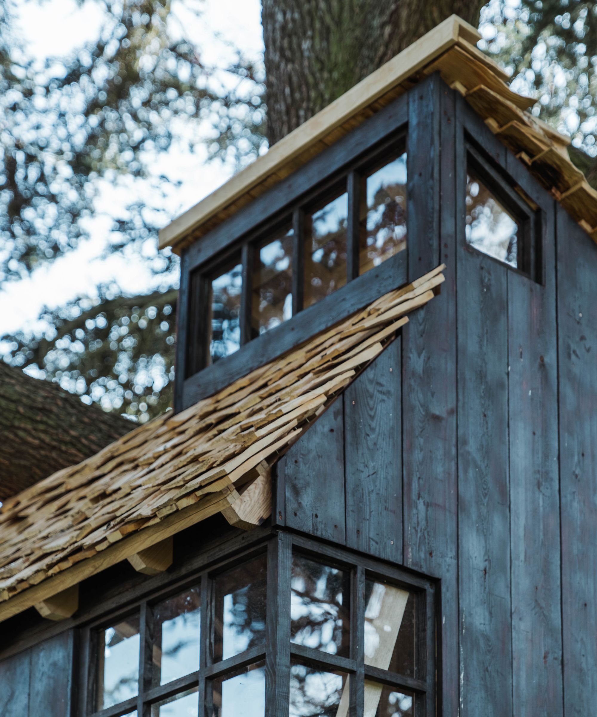 A dark-wood treehouse with a shingled roof, built around the trunk of a large tree.
