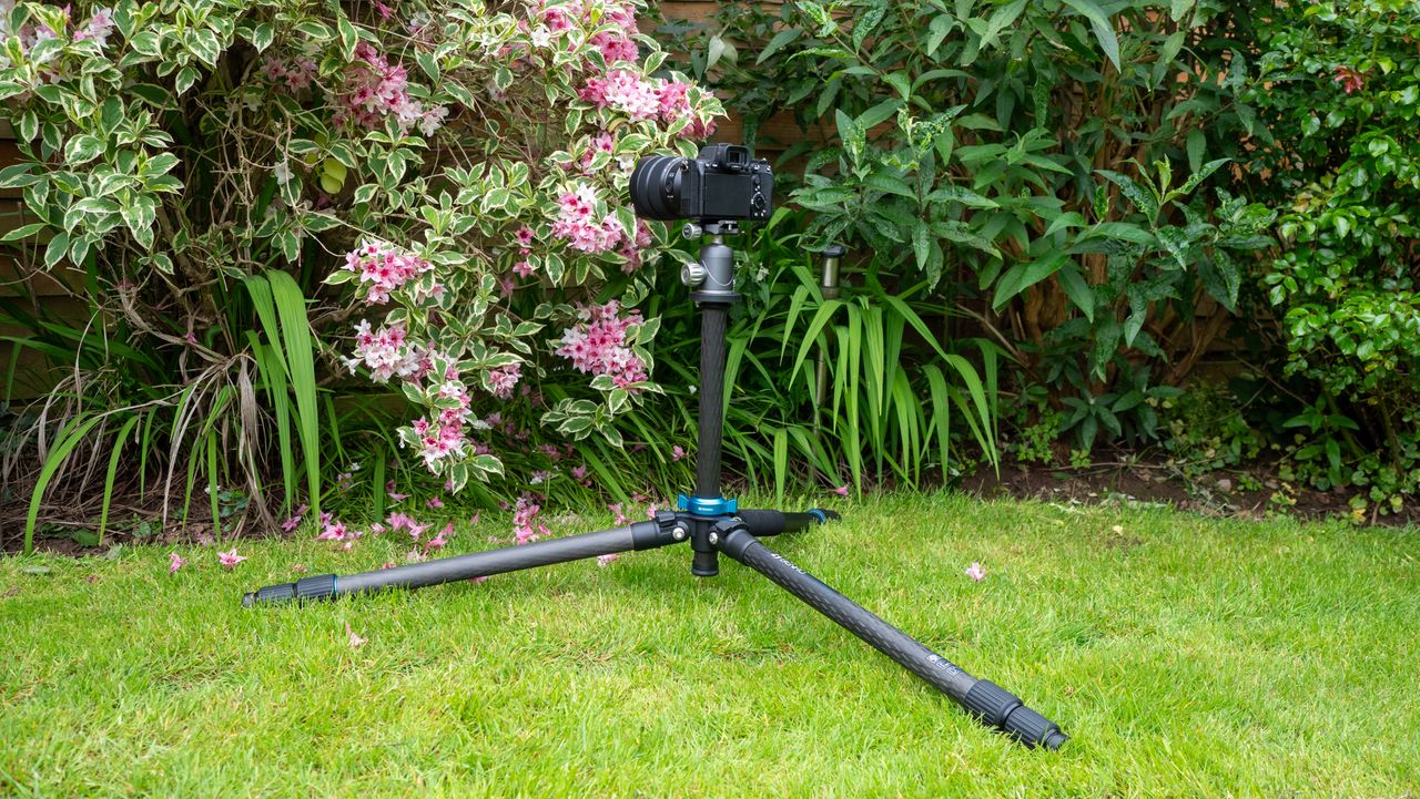 Benro Mach3 shooting low to the ground
