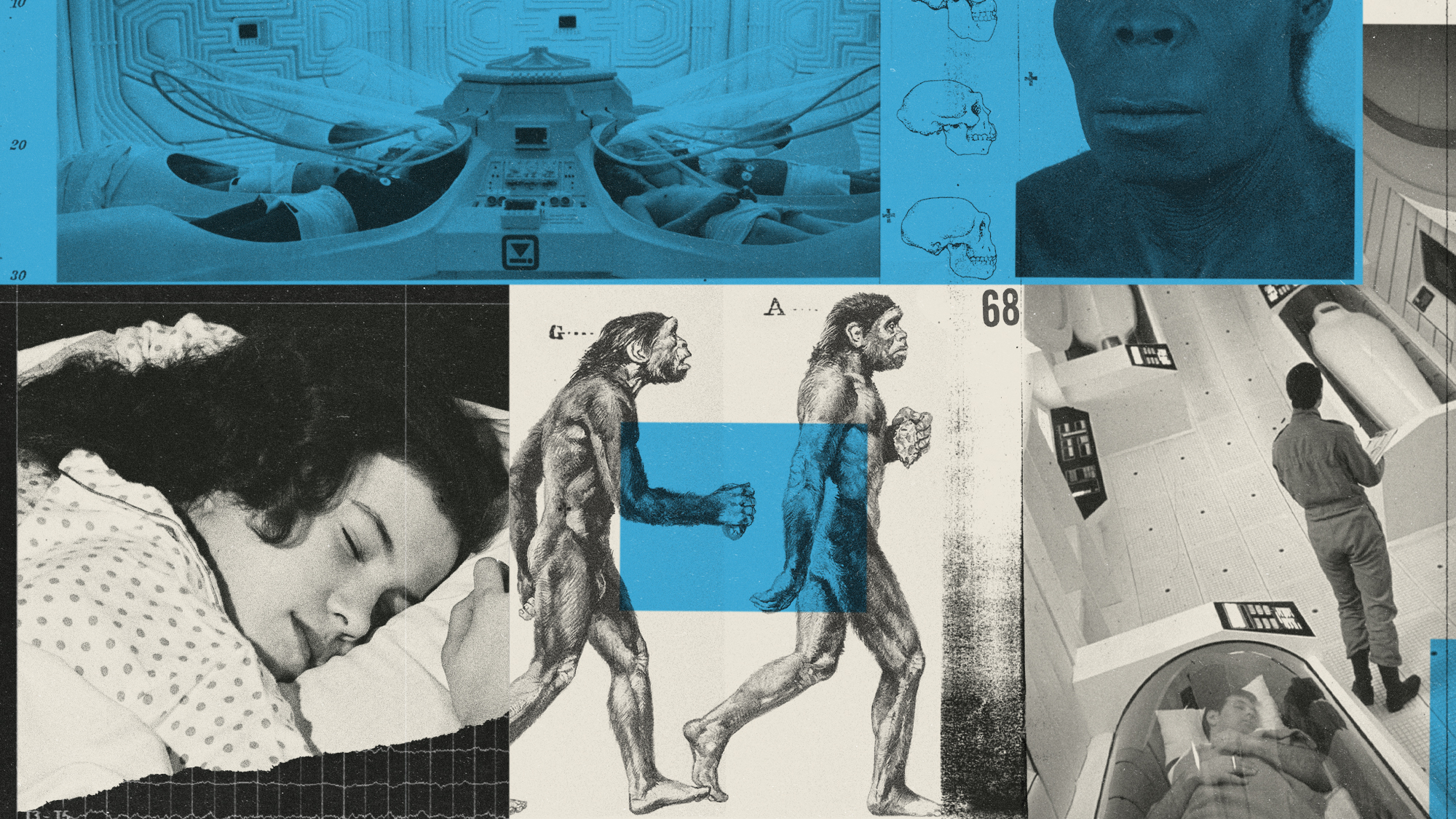 Photo composite illustration of primitive humans, a brain scan, a sleeping woman and scenes of suspended animation from sci-fi films