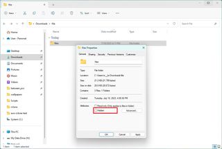 File Explorer remove hidden option