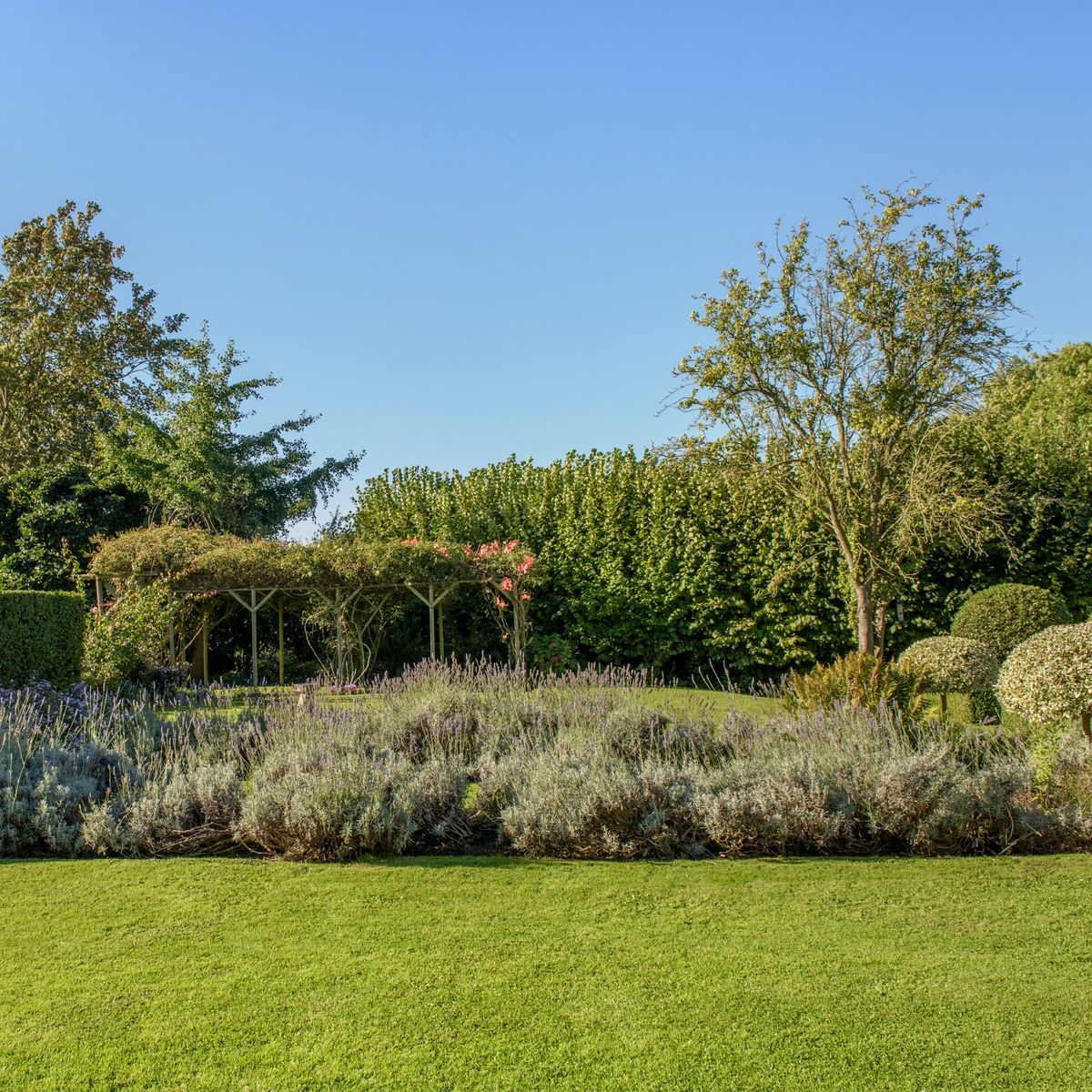 How to scarify a lawn – the expert-approved guide | Ideal Home