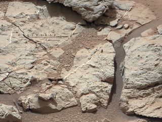 Veins in 'Sheepbed' Outcrop