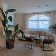 Neutral Mediterranean living room with long gauzy drapes, large leafy pot plant, cream sofa and minimalistic armchair around a coffee table