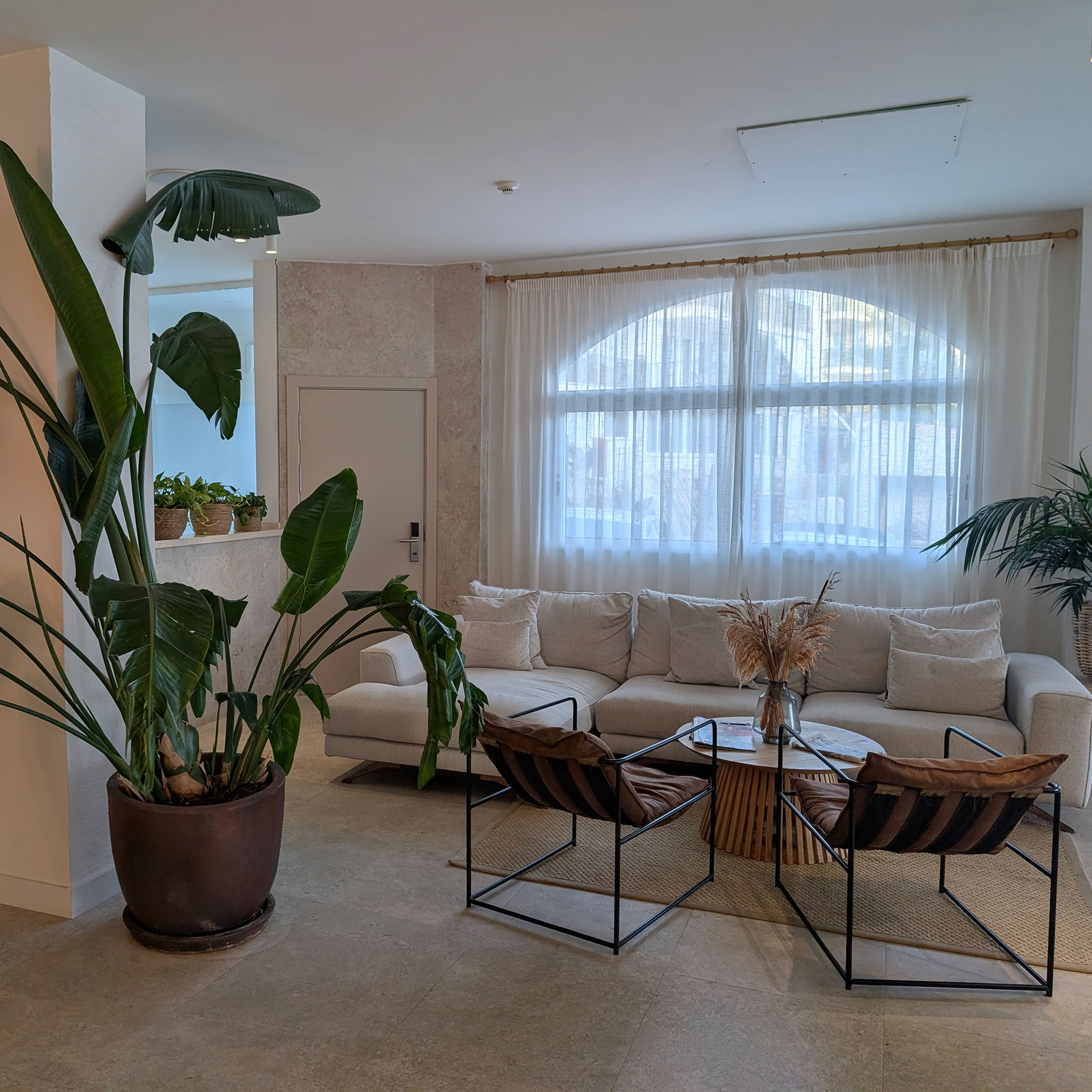 Neutral Mediterranean living room with long gauzy drapes, large leafy pot plant, cream sofa and minimalistic armchair around a coffee table