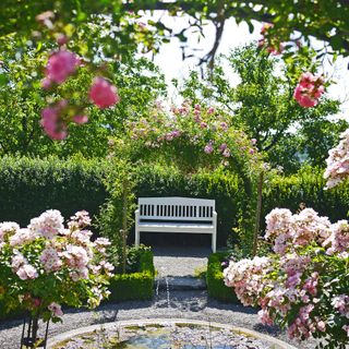 A rose covered arch with a pond and bench in the background