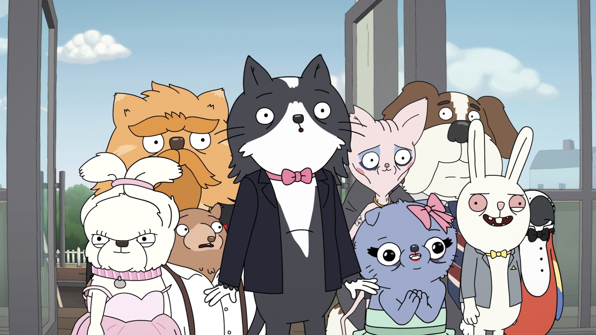cat characters all together in Kevin