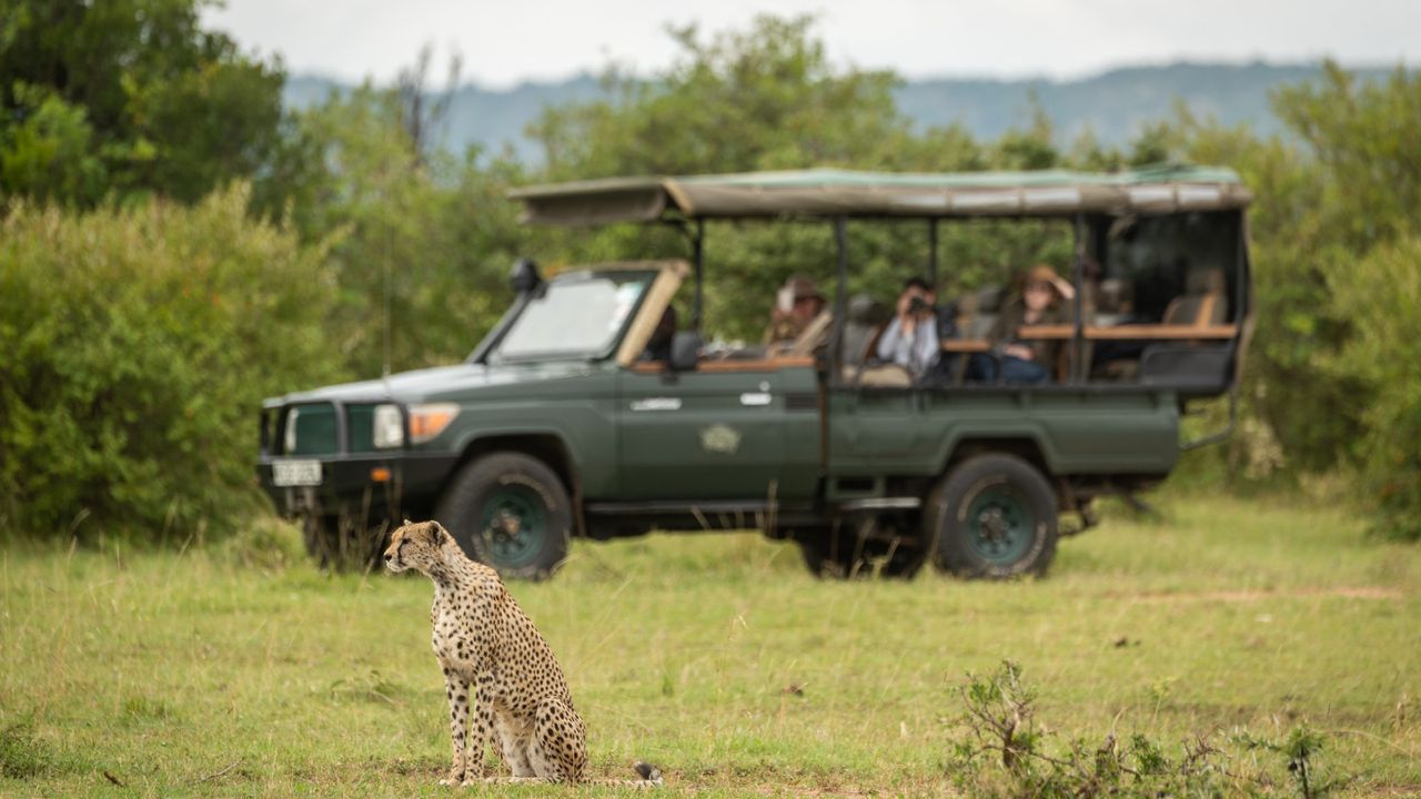 People on a Cottar&#039;s Safaris truck watch a cheetah sitting on the grass