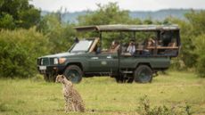 People on a Cottar's Safaris truck watch a cheetah sitting on the grass