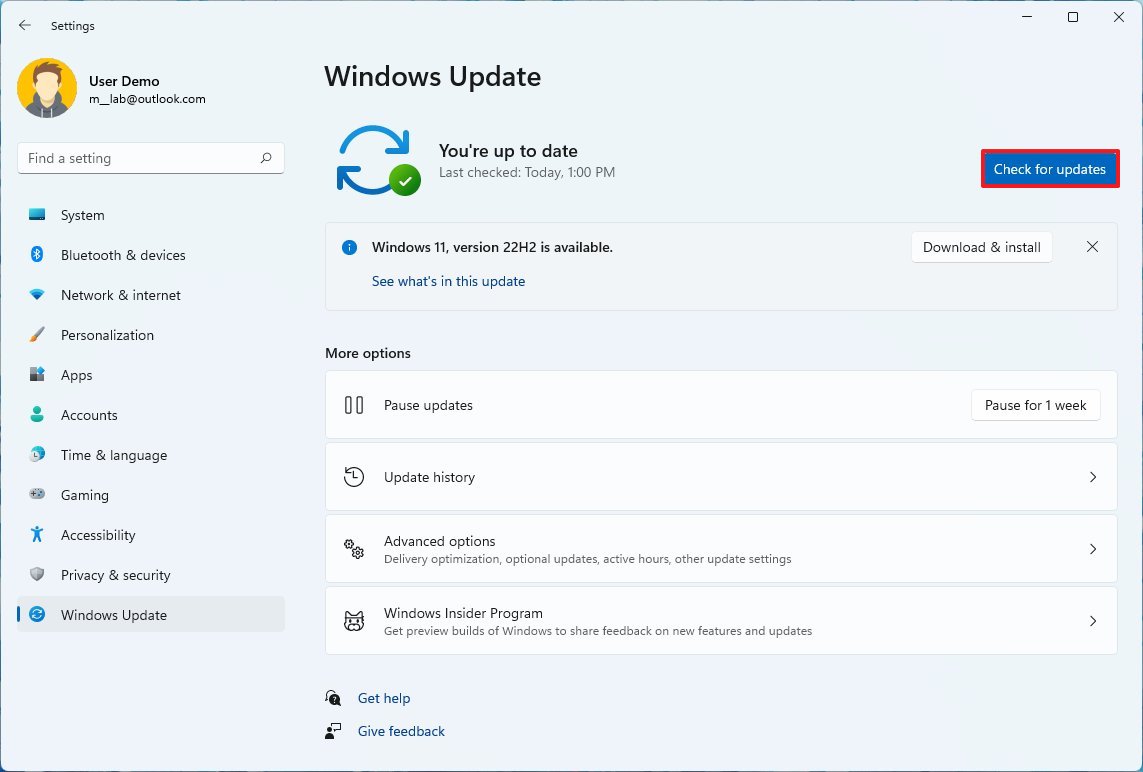 Windows 11 download updates to fix blue screen