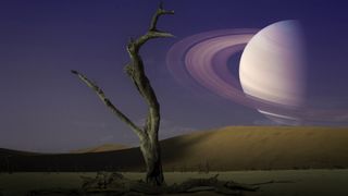 Saturn retrograde 2023: Planet Saturn over a dead tree in the Namib Desert.