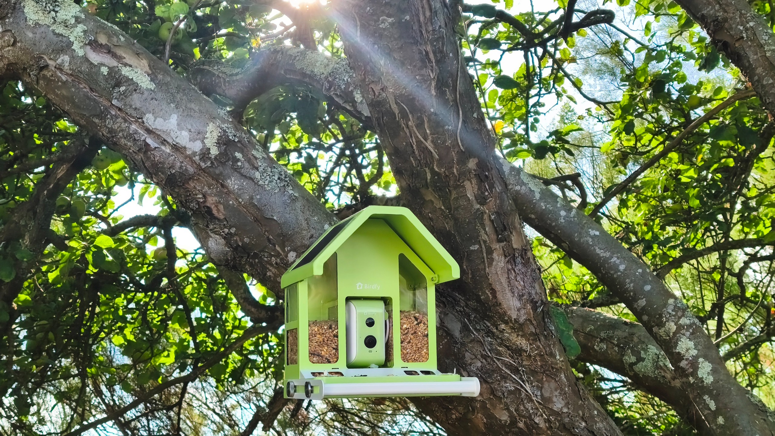 Birdfy Feeder Metal