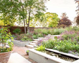 naturalistic planting design in a modern garden with hard landscaping