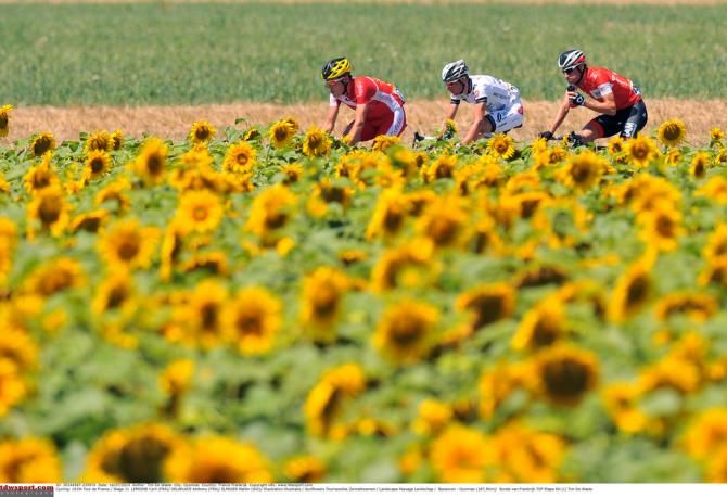 The breakaway framed by sun flowers