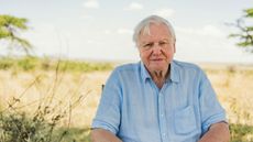 David Attenborough’s new show, A Life on Our Planet, is streaming on Netflix