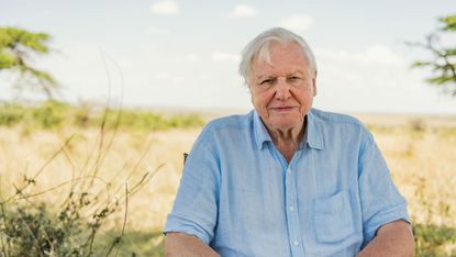 David Attenborough’s new show, A Life on Our Planet, is streaming on Netflix