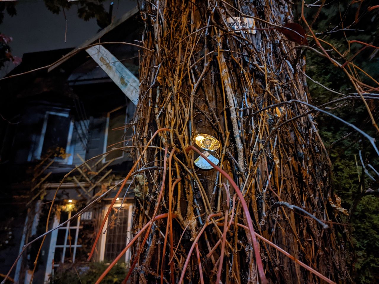Pixel5 Sample