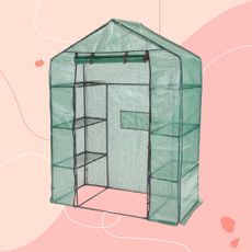 Aldi walk-in greenhouse on pink background