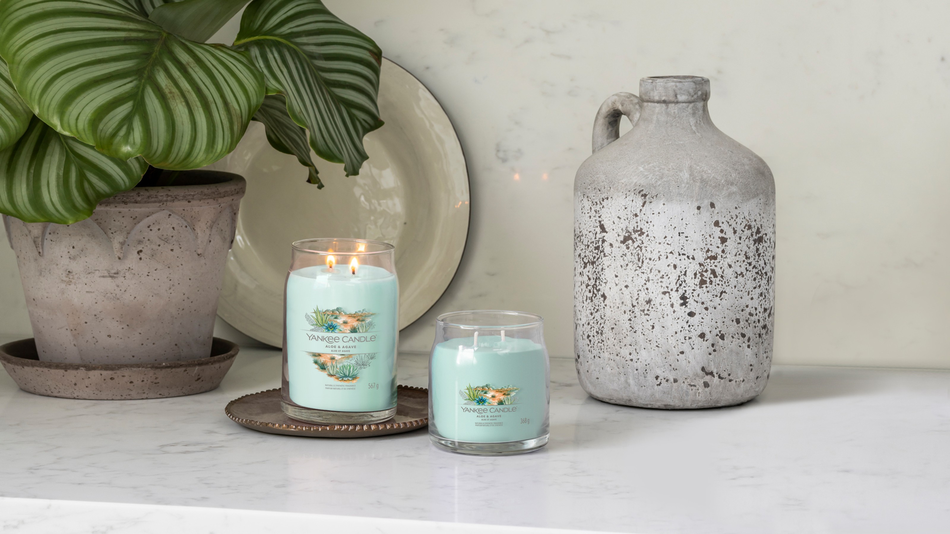 Yankee Candle Aloe & Agave