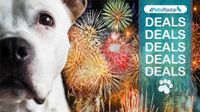 Dog and fireworks with PetsRadar deals image