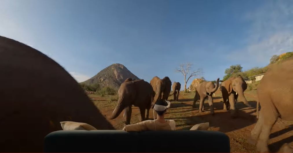 A person watching an immersive video starring elephants while sat on the couch