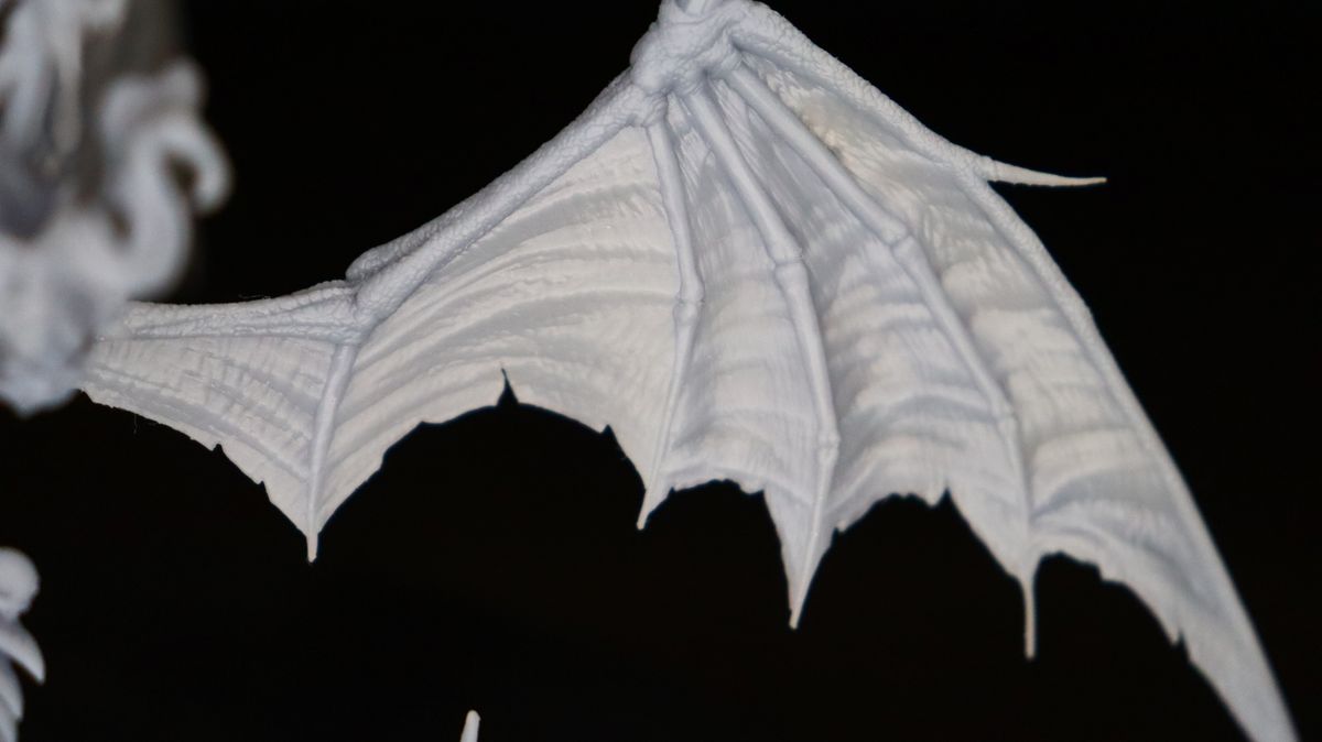 Anycubic Photon M3 Premium_Test print