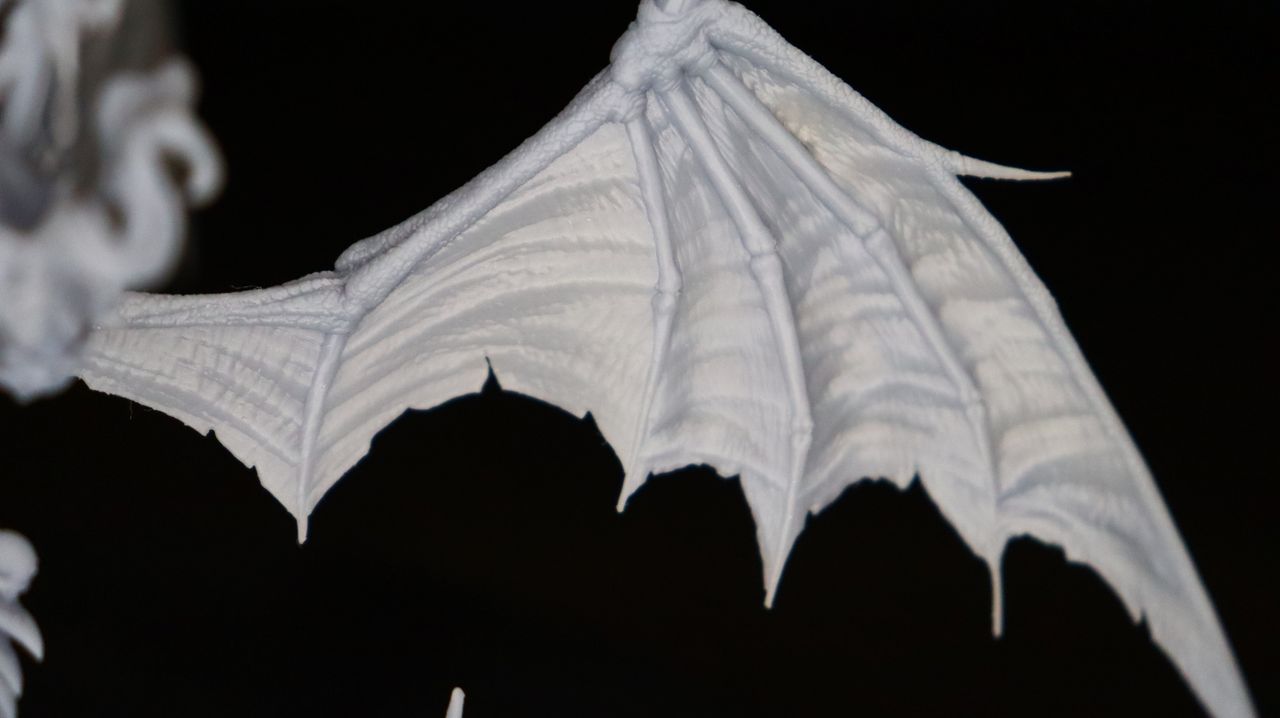 Anycubic Photon M3 Premium_Test print
