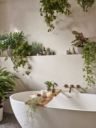 a neutral bathroom with a bath and lots of plants on the shelves