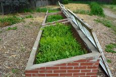 Raised Brick Garden Beds