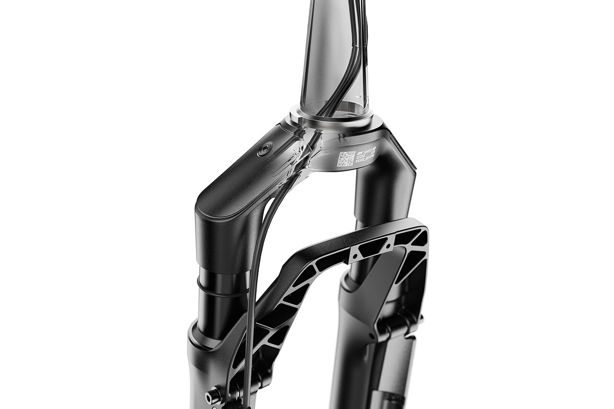A Canyon X DT Swiss F 132 ONE