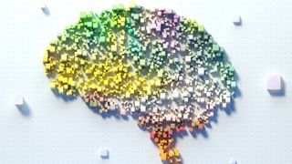 A multi-coloured brain made of blocks 