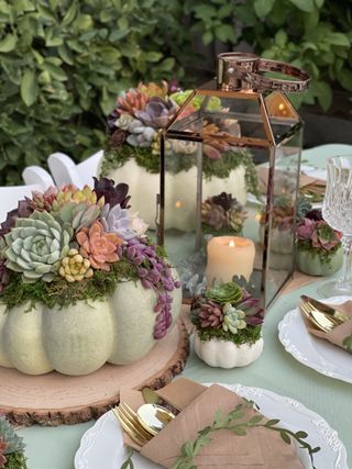 A Halloween tablescape with succulent pumpkin planters