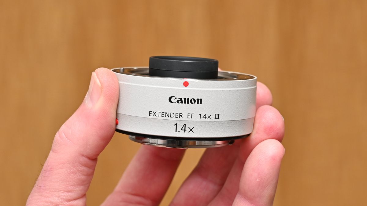 Canon Extender EF 1.4x III review: extend your telephoto reach 