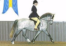 chloe-chubb-sandy.jpg