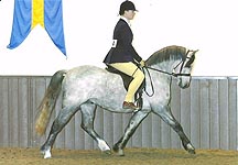 chloe-chubb-sandy.jpg