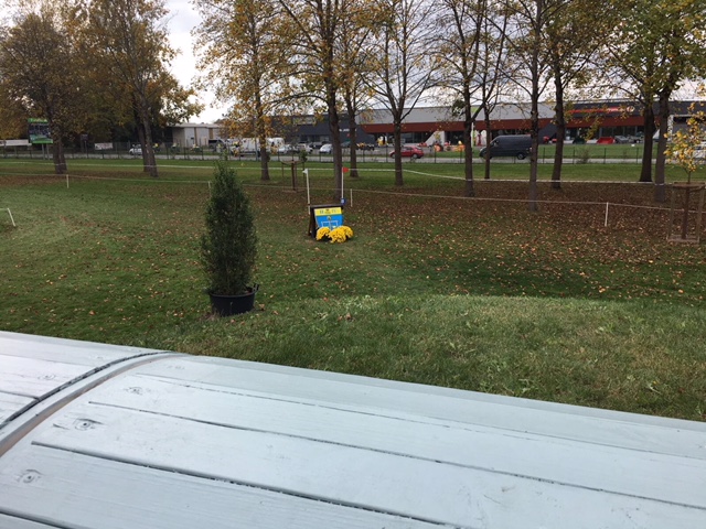 Fence 5ab