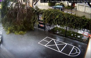 Exterior security camera captures tree collapse in parking lot.