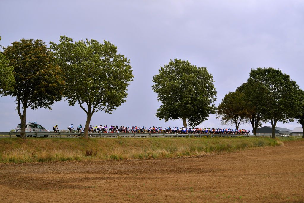 WAVRE BELGIUM AUGUST 17 Peloton Landscape during the 41st Tour de Wallonie 2020 Stage 2 a 1723km stage from Frasnes Lez Anvaing to Wavre TourdeWallonie TRW2020 on August 17 2020 in Wavre Belgium Photo by Luc ClaessenGetty Images