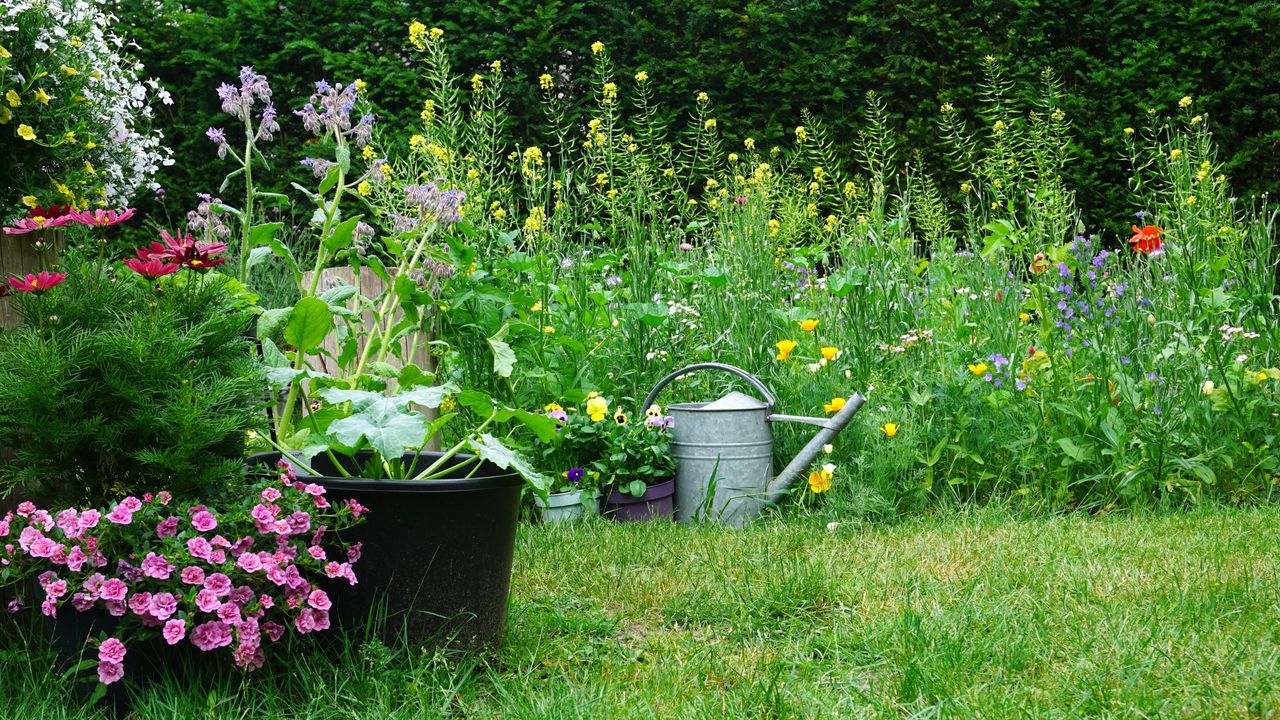 Gardening concept of a rural garden