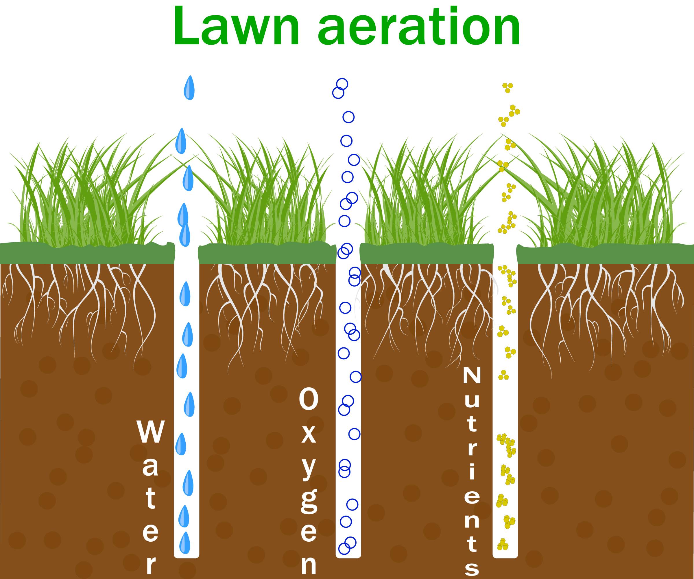 A diagram of lawn aeration