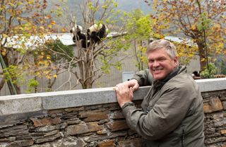 TV tonight Ray Mears with a pair of giant pandas.