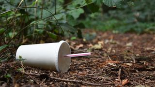 Paper cup and straw on ground in woodland