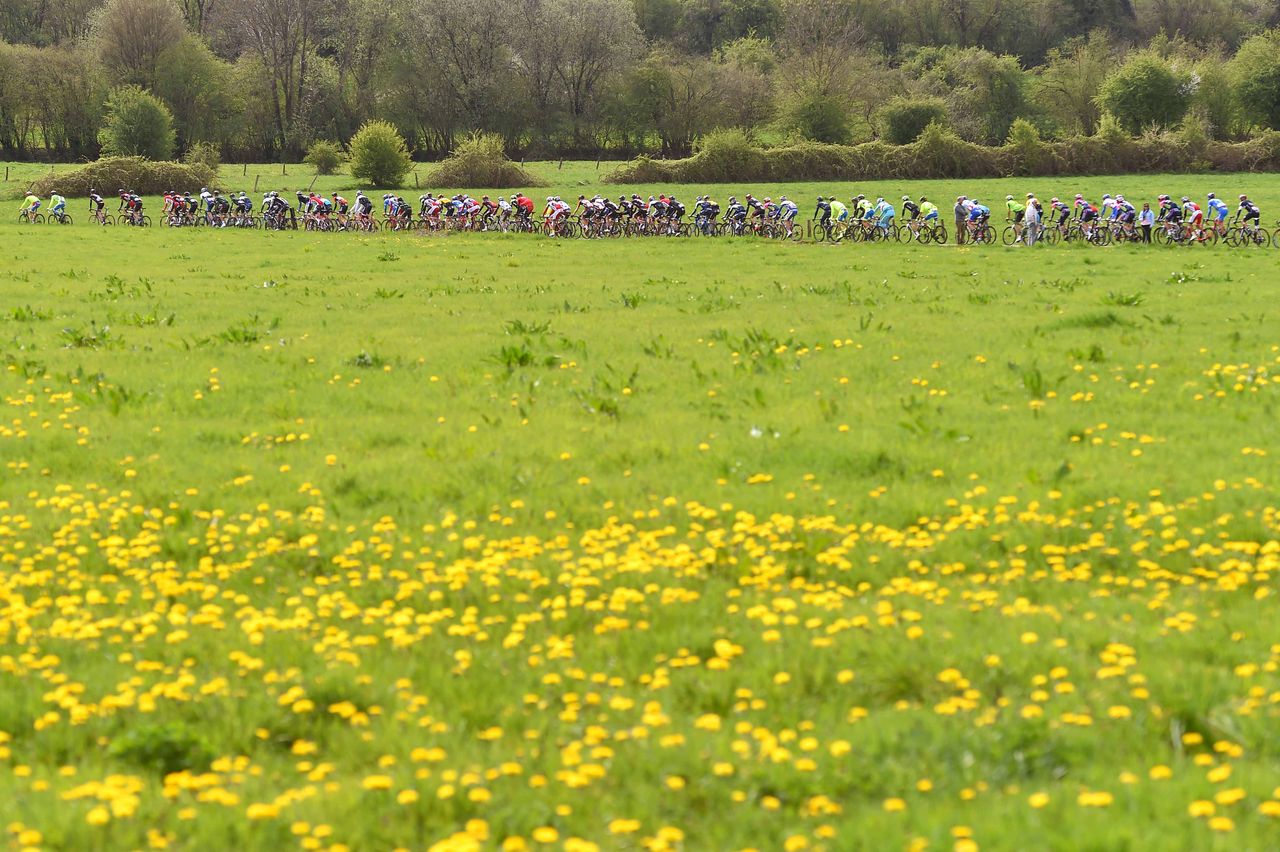 The peloton passing a field of flowers