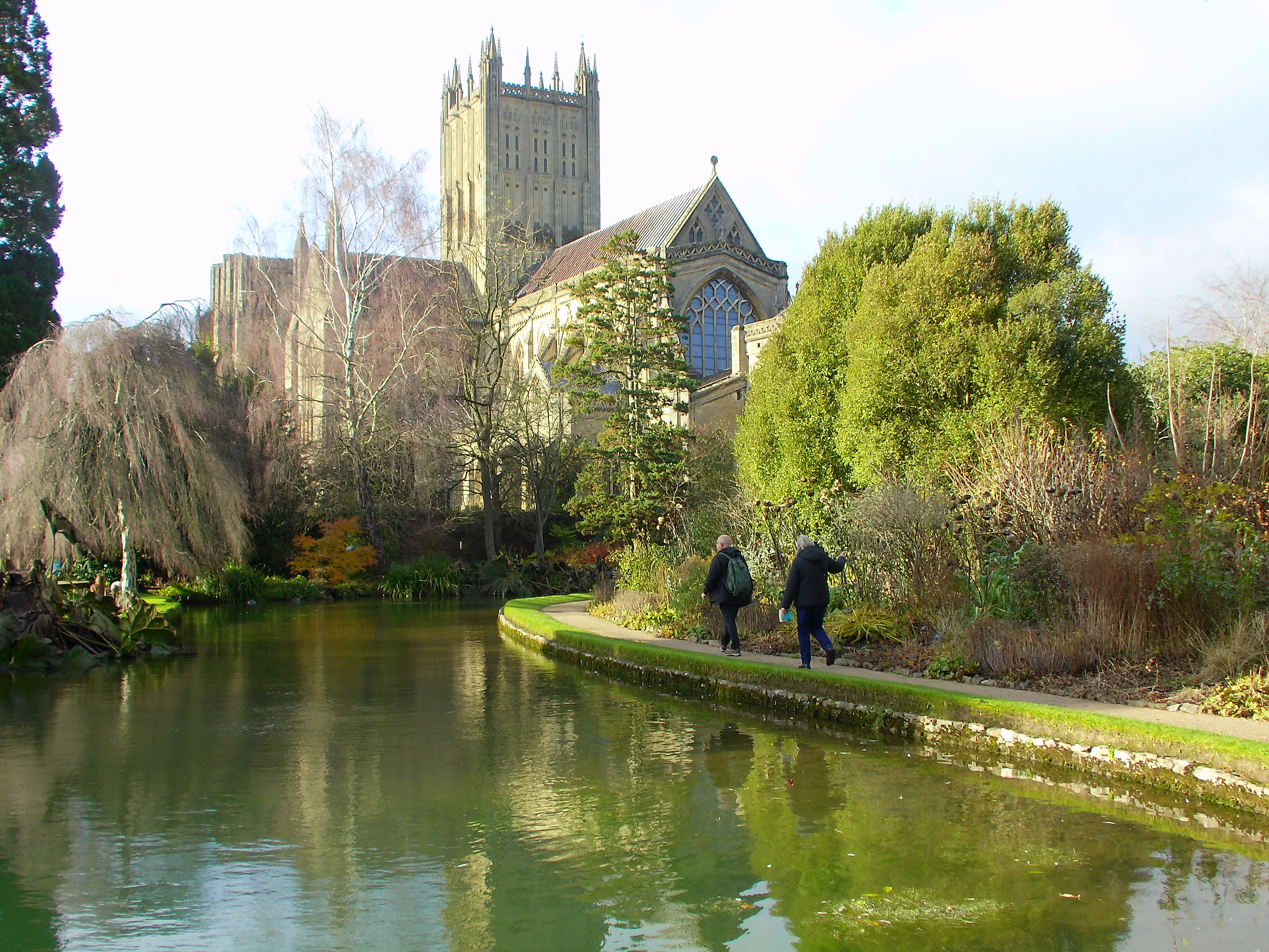 Yashica City 200 example shot