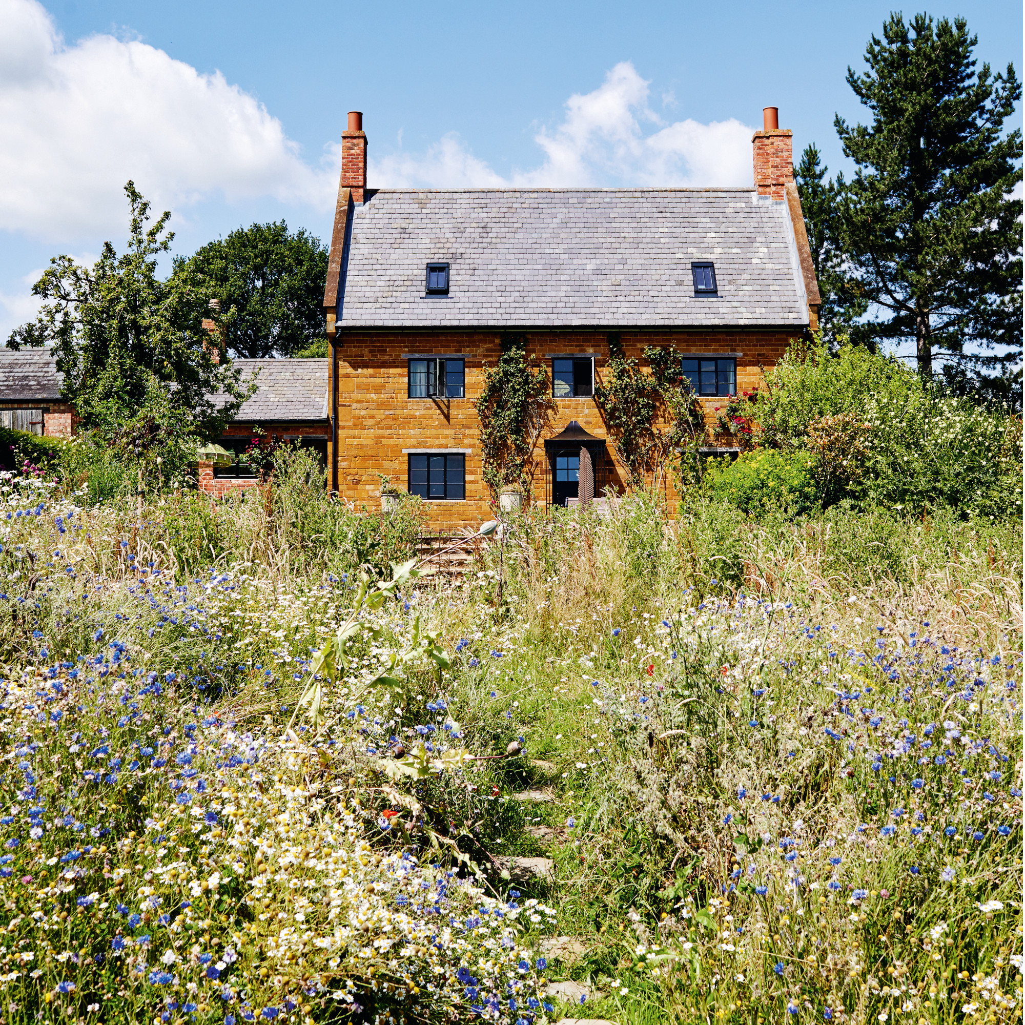 garden with shrubs, plants, grassland and grassland in front of a brick house