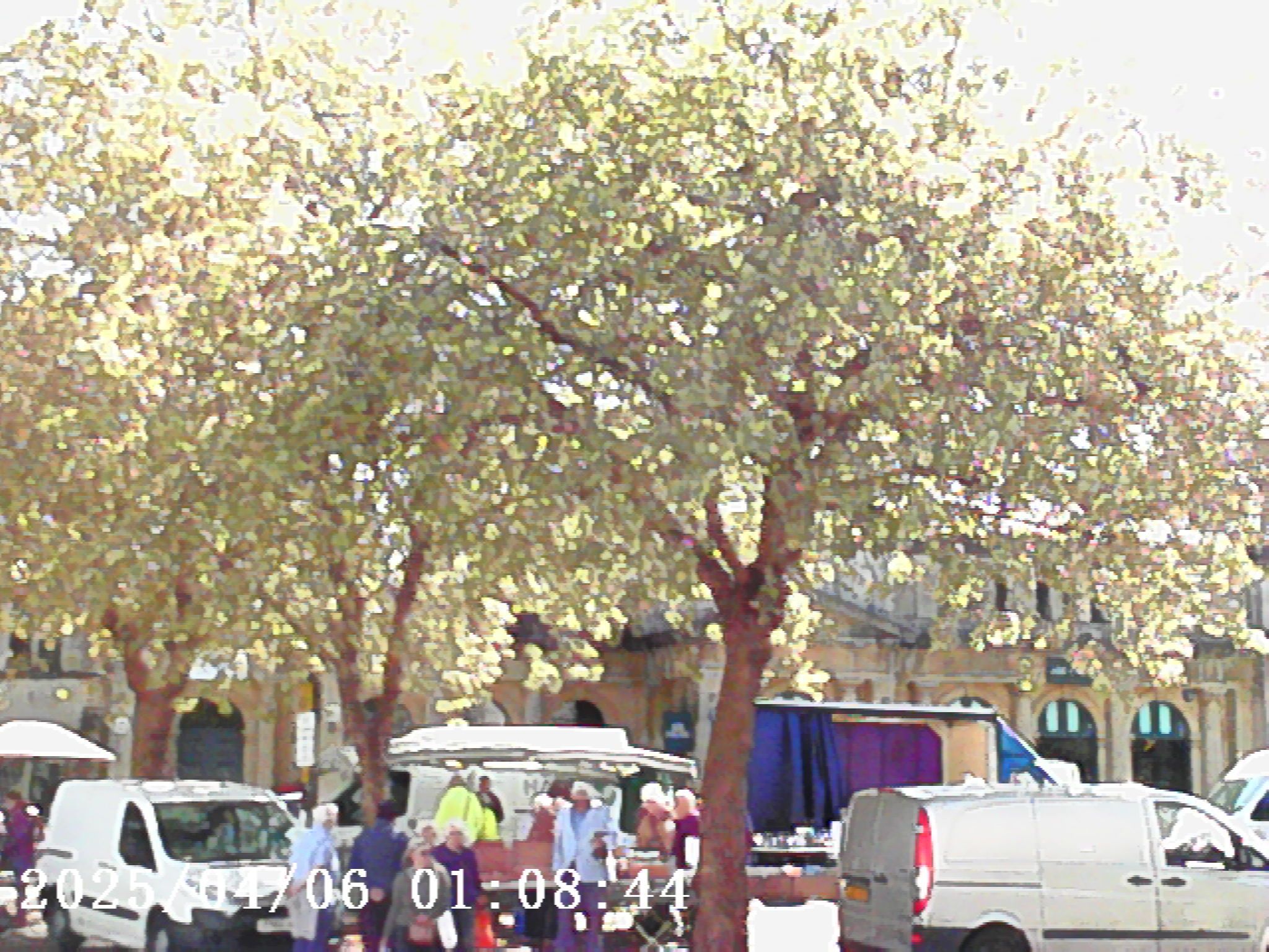 Photo Creator Mini Cam sample image