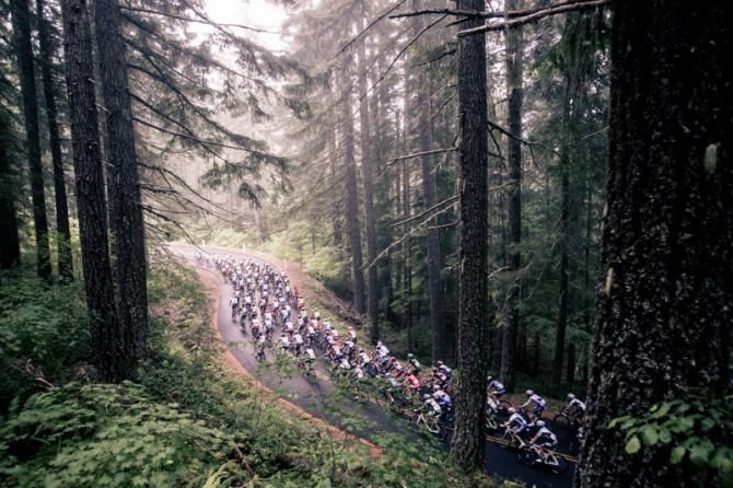The peloton climbs through the thick forests of the Cascade Cycling Classic.