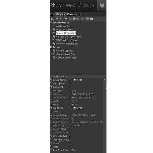 StudioLine Photo Classic separates its organizing and editing tools with tabs labeled Edit, Describe and Keywords.