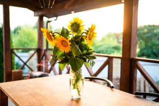 Sunflowers stand in glass vase on table on wooden veranda against sunset